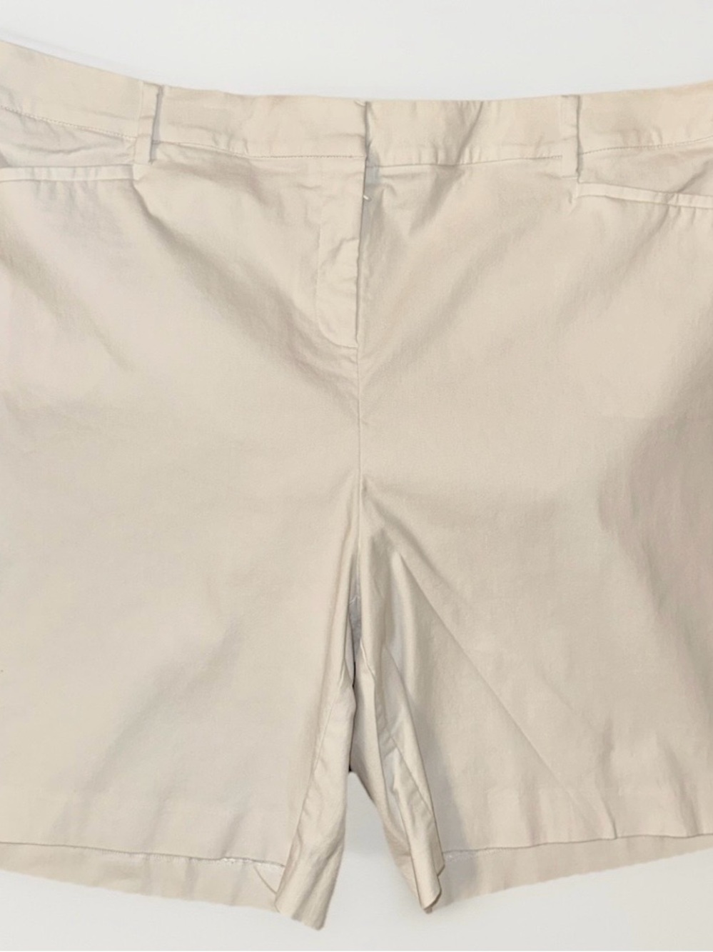 Lane Bryant Women's Shorts